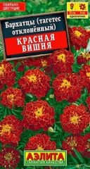 Бархатцы Красная ВИШНЯ Аэлита