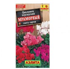Цикламен персидский МРАМОРНЫЙ