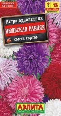 Астра Июльская Ранняя Аэлита