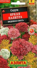 Седум Яркая Палитра Аэлита