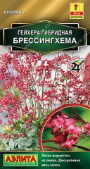 Гейхера Брессингхема Аэлита