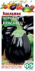 Кабачок цук Черный Красавец Гавриш