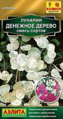 Лунария Денежное Дерево Аэлита