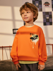 20120170187 Джемпер детский для мальчиков Haring оранжевый ACOOLA Kids