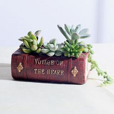 Цветочный горшок Zakka для суккулентов Книга