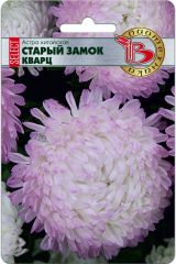 Астра китайская Старый замок селект Кварц