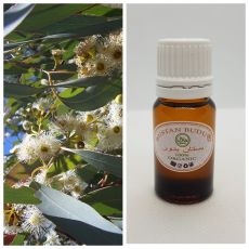 38 Эфирное масло Эвкалипт Eucalyptus Globulus, 10 мл