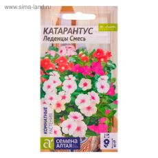 2858854 Семена комнатных цветов Катарантус 