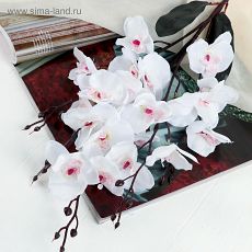 4301698 Цветы искусственные "Орхидея фаленопсис" 8*80 см, белый