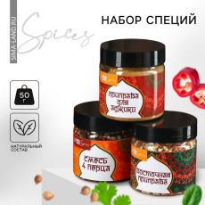 Специи «Новые грани вкуса», набор 3 шт. х 100 г
