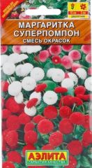 Маргаритка Супер Помпон Аэлита