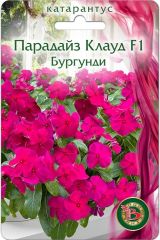 Катарантус Парадайз Клауд F1 Бургунди