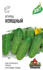 Огурец Изящный