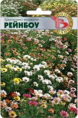 Хризантема килеватая смесь расцветок Рейнбоу