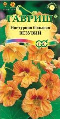Настурция Везувий Гавриш