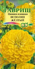 Цинния Исполин Желтый Гавриш