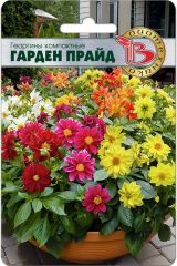 Георгины компактные Гарден Прайд