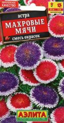 Астра Махровые Мячи Аэлита