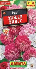 Роза Энжел Вингс Китайская Аэлита