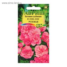 2869332 Семена комнатных цветов 
