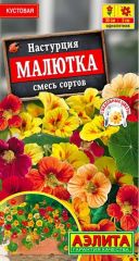 Настурция Малютка Аэлита