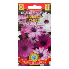 1766515 Семена цветов Остеоспермум 