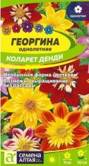 Георгина Коларет Денди Сем.Алтая