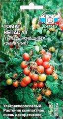 Томат Непас11 комнатный