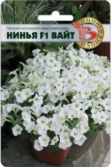 Петуния каскадная мелкоцветковая Нинья F1 Вайт