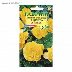 2869331 Семена комнатных цветов Бегония 