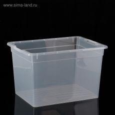 4258783 Контейнер для хранения Basic, 20 л, 39×28×24,5 см, цвет прозрачный