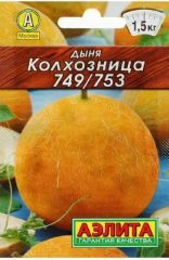Дыня Колхозница лидер