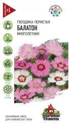 Гвоздика Перистая Балатон Гавриш