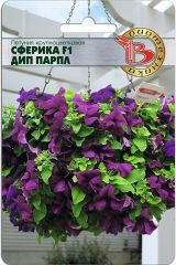 Петуния крупноцветковая Сферика F1 Дип Парпл