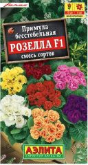 Примула Розелла F1