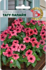 Катарантус розовый (Винка) Тату Папайя