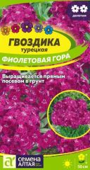 Гвоздика Турецкая Фиолетовая Гора