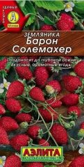 Земляника Барон Солемахер Аэлита
