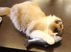 Игрушка для кошки «Карась»