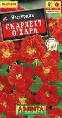 Настурция Скарлетт ОХара Аэлита