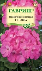 Пеларгония Павла F1 комнатная