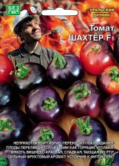 Томат Шахтер Ур.Дачник