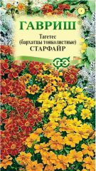 Бархатцы Старфайр Гавриш
