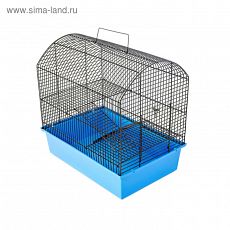 ТОВАР ПО ПРЕДЗАКАЗУ! 4501026 Клетка для грызунов "Заза-3" с 2-я этажами, без наполнения, 37 х 26 х 36 см, микс цветов