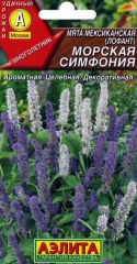 Мята Морская Симфония мексиканская