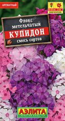 Флокс Метельчатый Купидон Аэлита