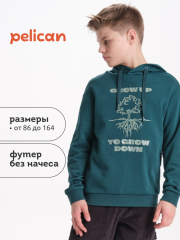 BFNK3370/1 Толстовка для мальчиков Изумрудный(14) Pelican
