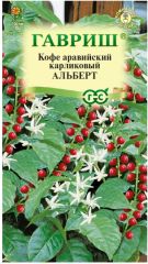 Кофе Альберт комнатный Гавриш