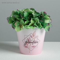 4840666 Кашпо Beautiful garden, 0,8 л, 11 х 12 см