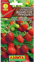 Земляника Душистое Лукошко